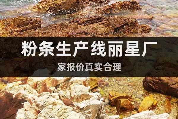 粉條生產線麗星廠家報價真實合理