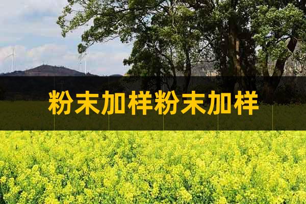 粉末加樣粉末加樣