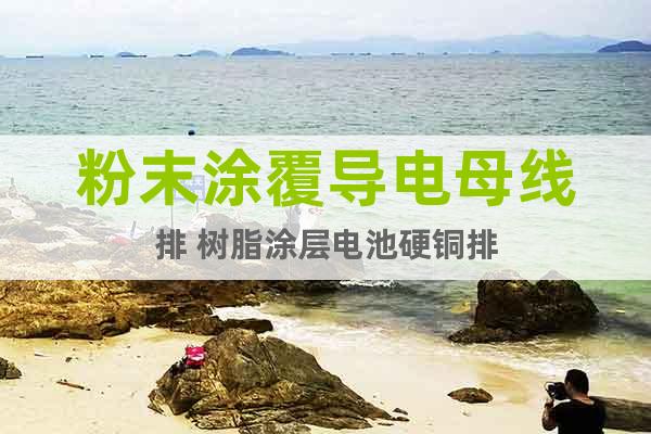 粉末涂覆導電母線排 樹脂涂層電池硬銅排
