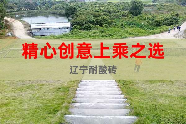 精心創(chuàng)意上乘之選遼寧耐酸磚