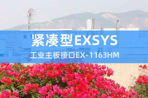 緊湊型EXSYS工業(yè)主板接口EX-1163HM