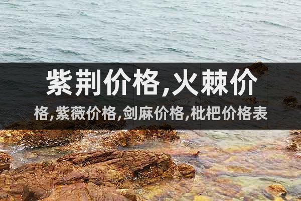 紫荊價格,火棘價格,紫薇價格,劍麻價格,枇杷價格表