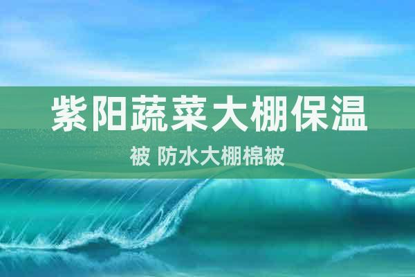 紫陽蔬菜大棚保溫被 防水大棚棉被
