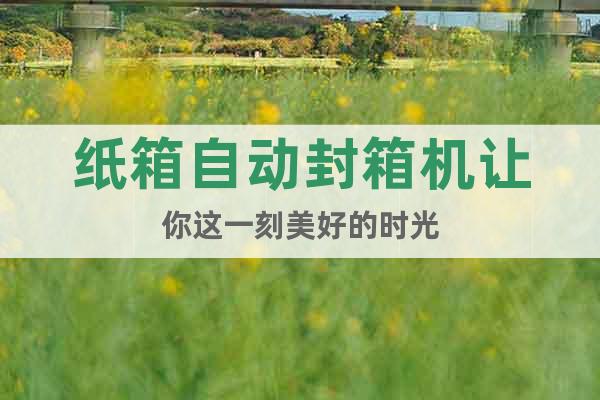 紙箱自動(dòng)封箱機(jī)讓你這一刻美好的時(shí)光