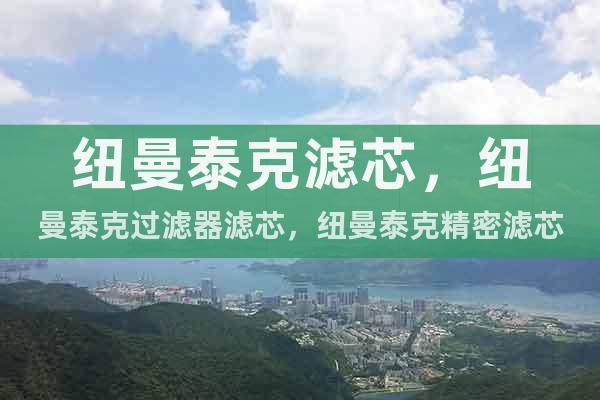 紐曼泰克精密濾芯C-95-15 P-95-15