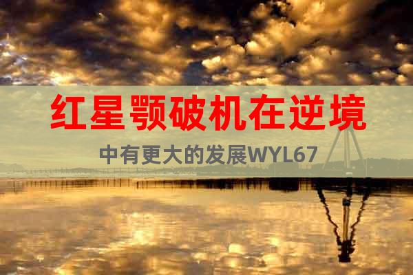 紅星顎破機在逆境中有更大的發(fā)展WYL67