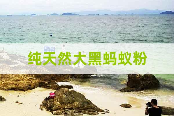 純天然大黑螞蟻粉
