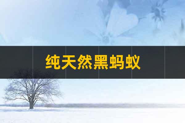 純天然黑螞蟻