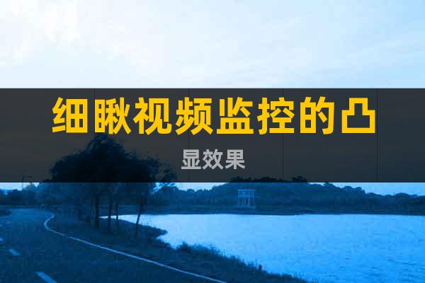細(xì)瞅視頻監(jiān)控的凸顯效果
