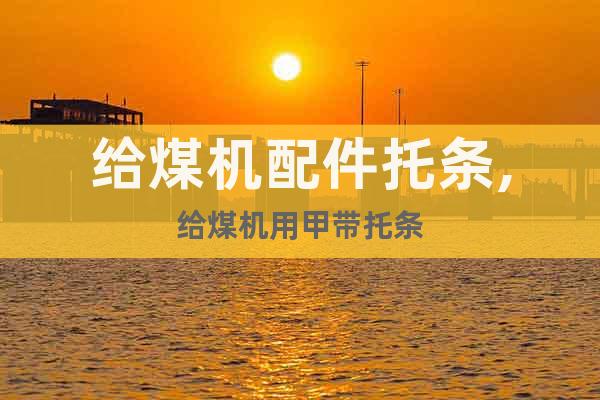 給煤機(jī)配件托條,給煤機(jī)用甲帶托條