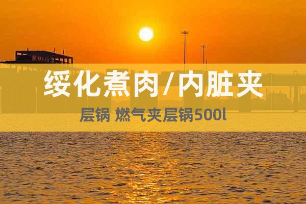 綏化煮肉/內(nèi)臟夾層鍋 燃氣夾層鍋500l