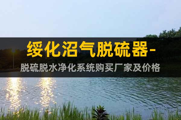 綏化沼氣脫硫器-脫硫脫水凈化系統(tǒng)購買廠家及價格