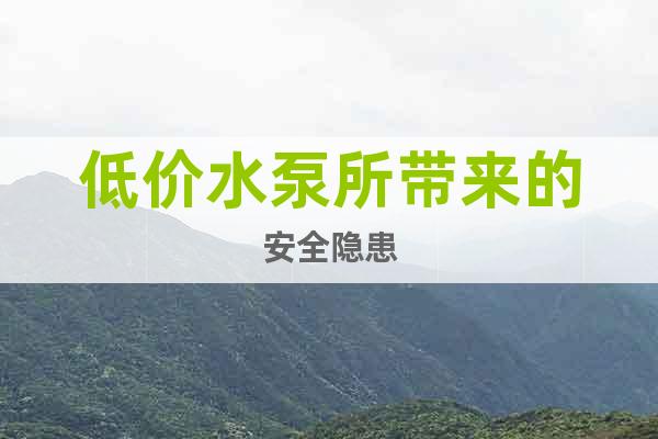 低價(jià)水泵所帶來(lái)的安全隱患