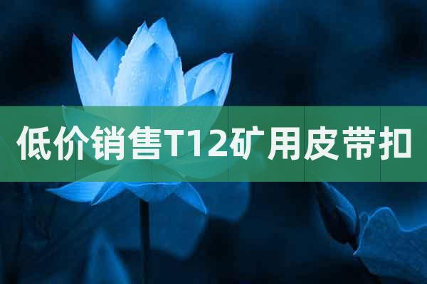 低價銷售T12礦用皮帶扣