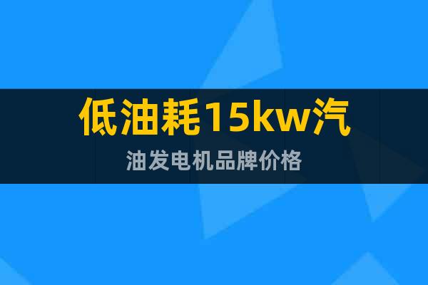 低油耗15kw汽油發(fā)電機(jī)品牌價(jià)格