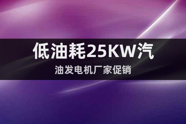低油耗25KW汽油發(fā)電機(jī)廠家促銷