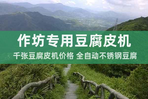 作坊專用豆腐皮機 千張豆腐皮機價格 全自動不銹鋼豆腐皮機