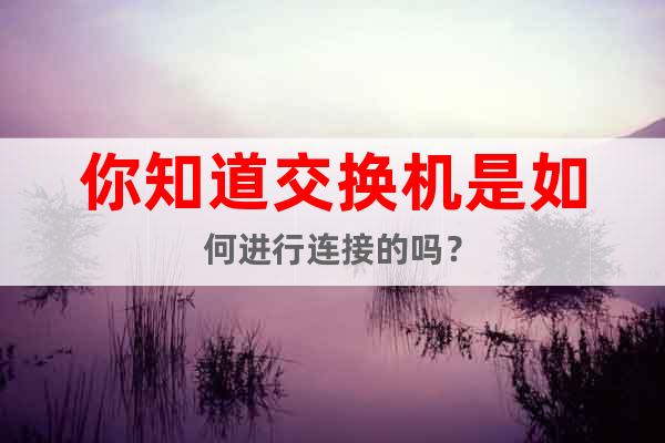 你知道交換機(jī)是如何進(jìn)行連接的嗎？