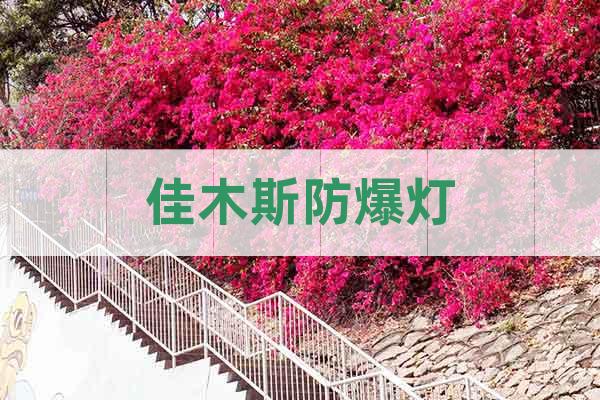 佳木斯防爆燈
