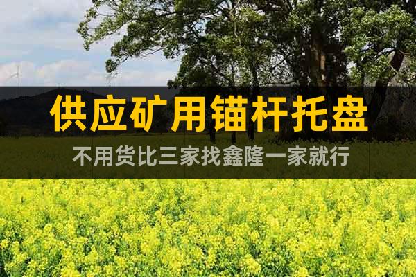 供應(yīng)礦用錨桿托盤 不用貨比三家找鑫隆一家就行