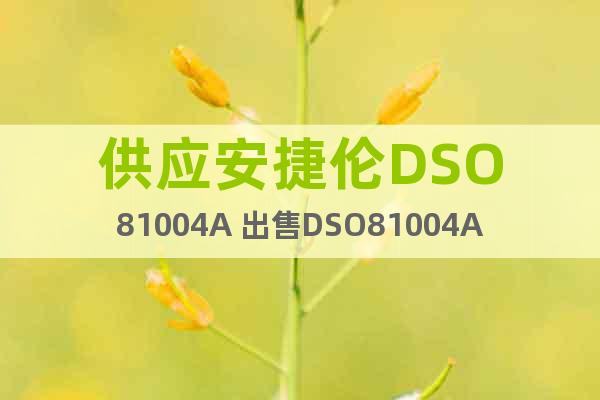 供应安捷伦DSO81004A 出售DSO81004A