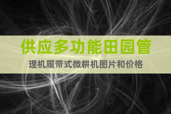 供應(yīng)多功能田園管理機(jī)履帶式微耕機(jī)圖片和價(jià)格