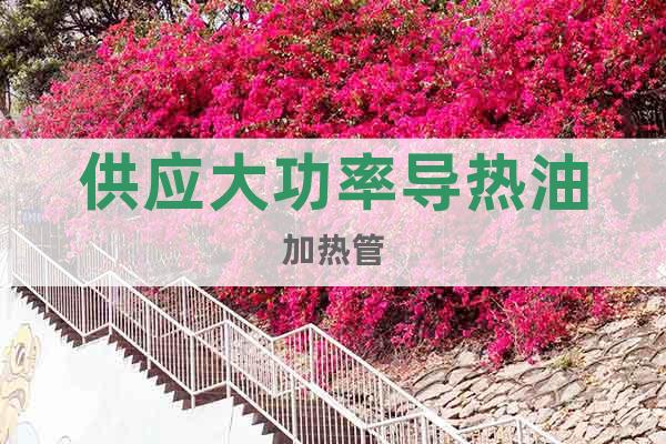 供應(yīng)大功率導(dǎo)熱油加熱管