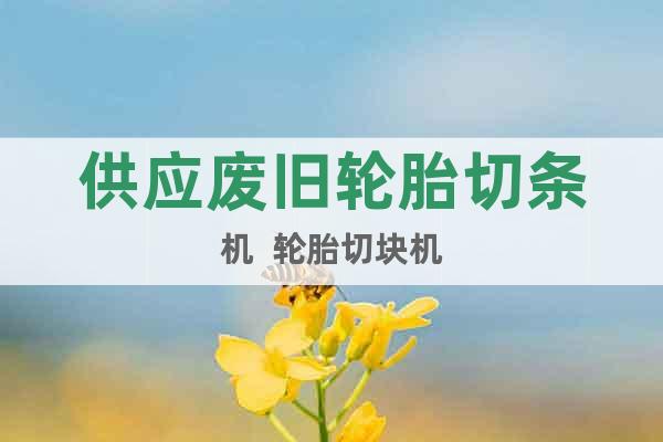 供應(yīng)廢舊輪胎切條機(jī)  輪胎切塊機(jī)