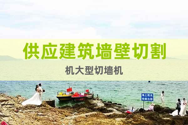 供應(yīng)建筑墻壁切割機大型切墻機