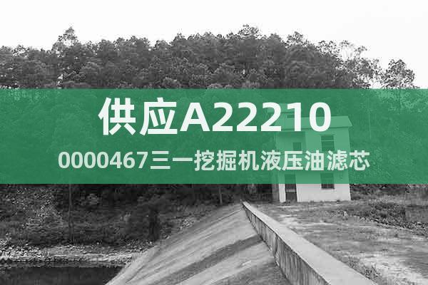 供應(yīng)A222100000467三一挖掘機(jī)液壓油濾芯