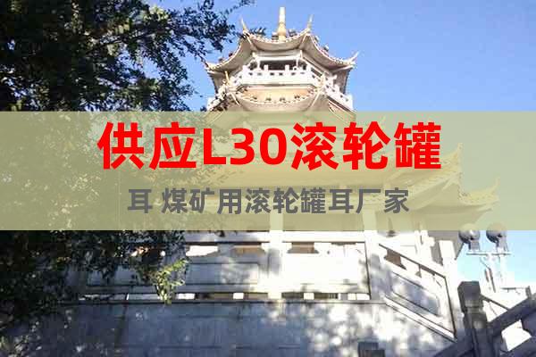 供應(yīng)L30滾輪罐耳 煤礦用滾輪罐耳廠家