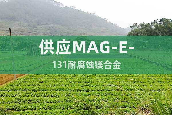供应MAG-E-131耐腐蚀镁合金