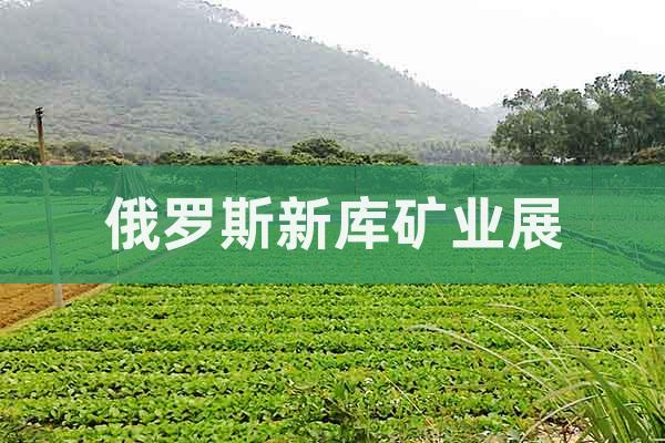 2026俄羅斯新庫(kù)茲涅茨克礦業(yè)及煤炭展覽會(huì)