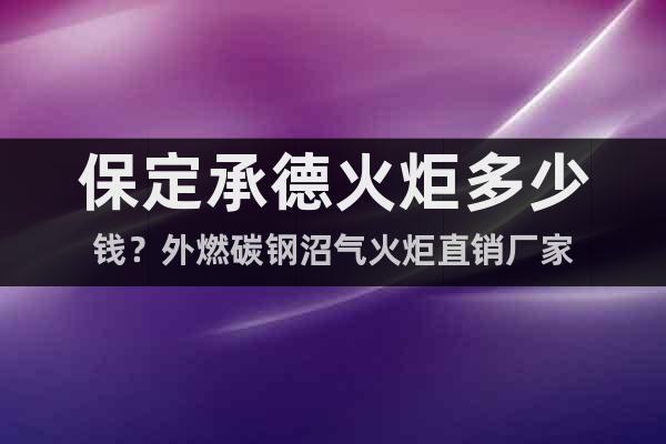 保定承德火炬多少錢？外燃碳鋼沼氣火炬直銷廠家