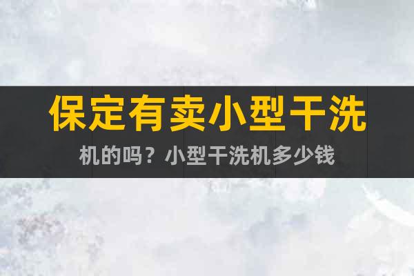 保定有賣小型干洗機的嗎?小型干洗機多少錢