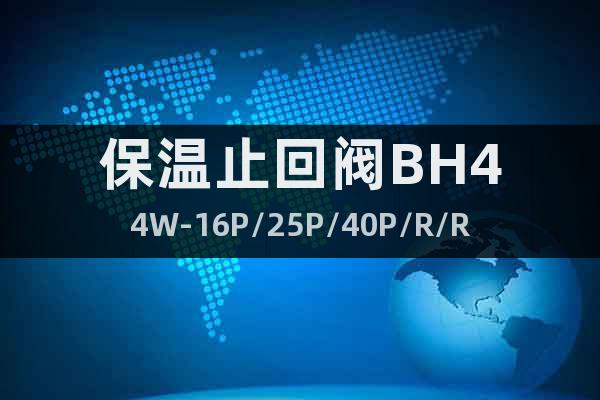 保温止回阀BH44W-16P/25P/40P/R/RL