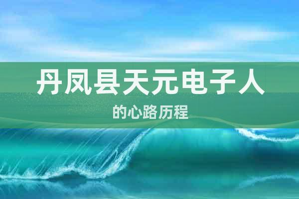 天元電子以匠心鑄就電阻行業標桿