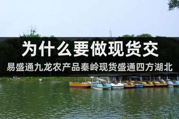 為什么要做現(xiàn)貨交易盛通九龍農(nóng)產(chǎn)品秦嶺現(xiàn)貨盛通四方南北優(yōu)品