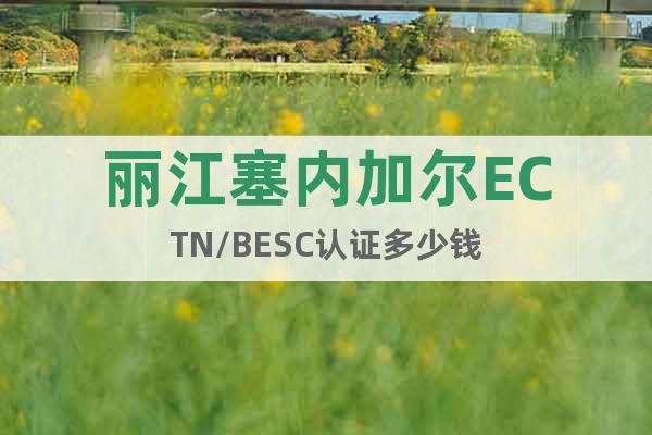 丽江塞内加尔ECTN/BESC认证多少钱