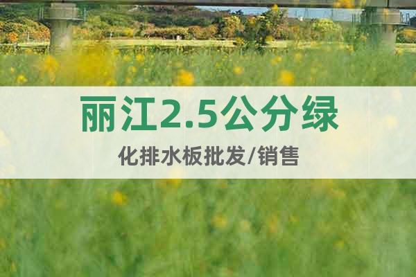 丽江2.5公分绿化排水板批发/销售