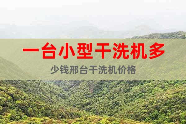 一臺(tái)小型干洗機(jī)多少錢邢臺(tái)干洗機(jī)價(jià)格