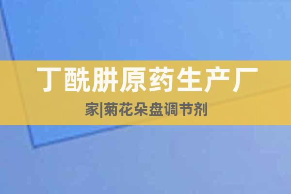 丁酰肼原藥生產廠家|菊花朵盤調節(jié)劑