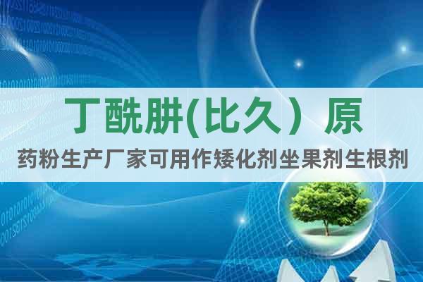 丁酰肼(比久）原藥粉生產(chǎn)廠家可用作矮化劑坐果劑生根劑保鮮劑