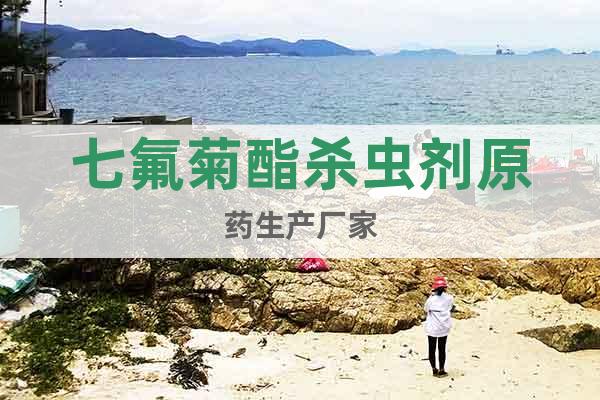 七氟菊酯殺蟲劑原藥生產(chǎn)廠家