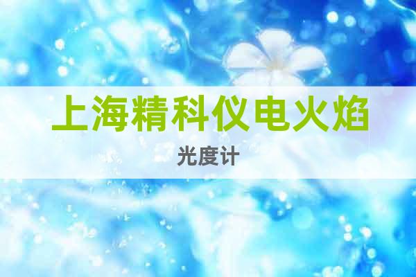 上海精科儀電火焰光度計