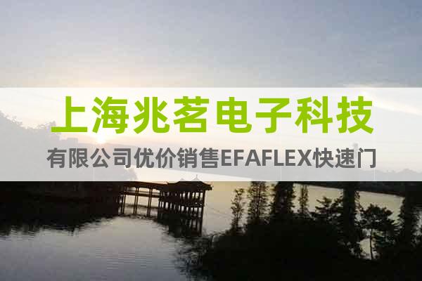 上海兆茗電子科技有限公司優價銷售EFAFLEX快速門