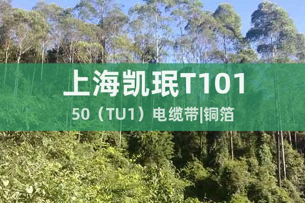 上海凱珉T10150（TU1）電纜帶|銅箔