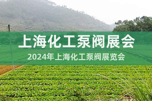 上海化工泵阀展会2024年上海化工泵阀展览会