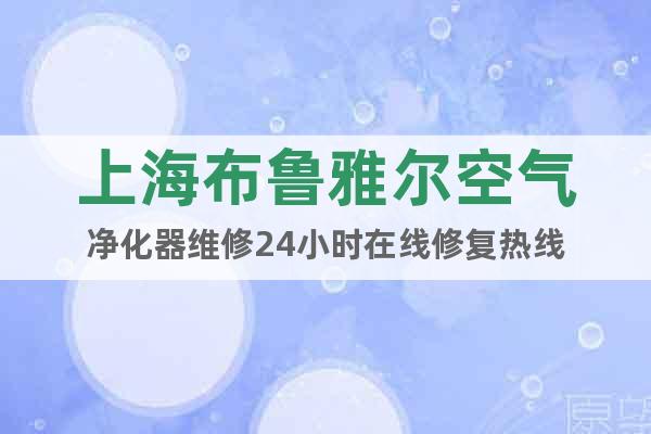 上海布鲁雅尔空气净化器维修24小时在线修复热线