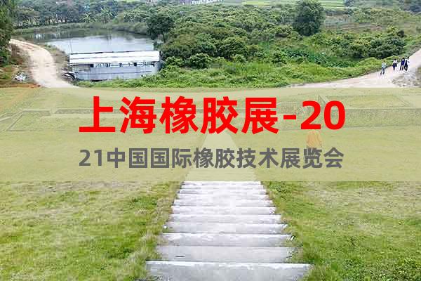 上海橡胶展-2021中国国际橡胶技术展览会